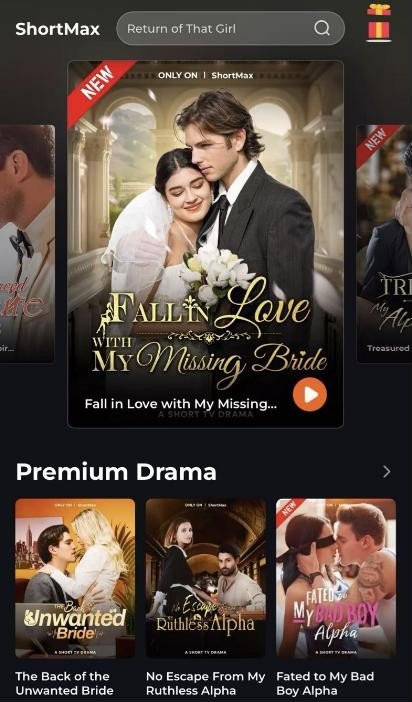 Fall in Love with My Missing Bride